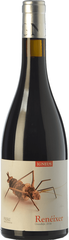 17,95 € Free Shipping | Red wine Mas Igneus Renéixer Negre Roble D.O.Ca. Priorat Catalonia Spain Syrah, Grenache, Cabernet Sauvignon, Carignan Bottle 75 cl