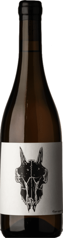 25,95 € Spedizione Gratuita | Vino bianco San Biagio Bianco Lucignolo I.G.T. Colli Aprutini