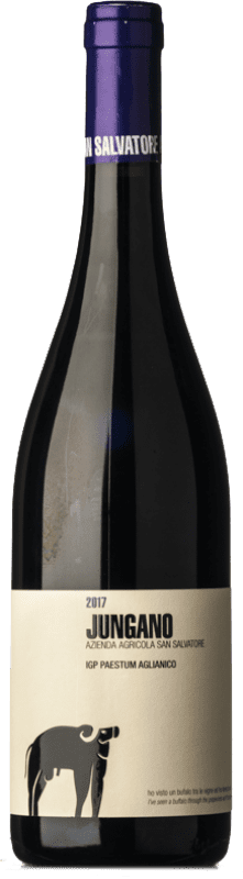 Envoi gratuit | Vin rouge San Salvatore 1988 Jungano D.O.C. Paestum Campanie Italie Aglianico 75 cl