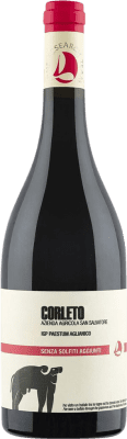 San Salvatore 1988 Corleto Aglianico — Аглианико Paestum 75 cl