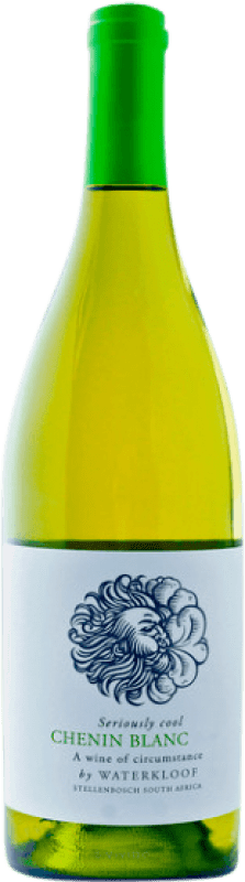 Envio grátis | Vinho branco Waterkloof Seriously Cool I.G. Stellenbosch Coastal Region África do Sul Chenin Branco Biológico 75 cl