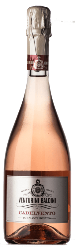 15,95 € | ロゼスパークリングワイン Venturini Baldini Lambrusco Cadelvento Rosé Brut D.O.C. Reggiano エミリア=ロマーニャ イタリア Lambrusco di Sorbara, Lambrusco Grasparossa 75 cl