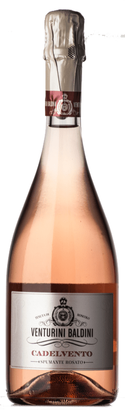 15,95 € | 玫瑰气泡酒 Venturini Baldini Lambrusco Cadelvento Rosé 香槟 D.O.C. Reggiano 艾米利亚 - 罗马涅 意大利 Lambrusco 有机 75 cl
