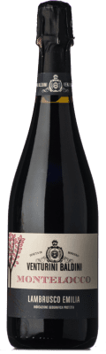 Venturini Baldini Montelocco Lambrusco Salamino Полусухое Полусладкое Emilia Romagna 75 cl