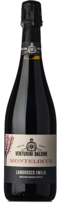 Venturini Baldini Montelocco Lambrusco セミドライ セミスイート Emilia Romagna 有機 75 cl