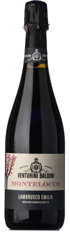 11,95 € | Red wine Venturini Baldini Semisecco Montelocco I.G.T. Emilia Romagna Emilia-Romagna Italy Lambrusco Salamino 75 cl