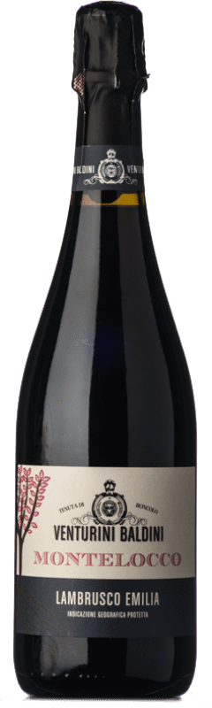 Free Shipping | Red wine Venturini Baldini Montelocco Semi-Dry Semi-Sweet I.G.T. Emilia Romagna Emilia-Romagna Italy Lambrusco Salamino 75 cl