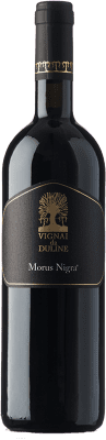Vignai da Duline Morus Nigra