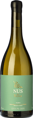 Vinyes del Terrer Nus 高齢者