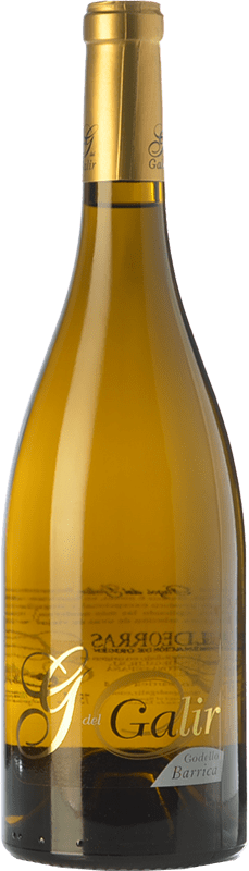 送料無料 | 白ワイン Virxe de Galir G de Galir Fermentado en Barrica 高齢者 D.O. Valdeorras ガリシア スペイン Godello 75 cl