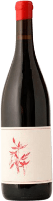 Arnot-Roberts Heaven and Earth Pinot Black Sonoma Coast 75 cl