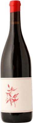 Arnot-Roberts Heaven and Earth Pinot Noir Sonoma Coast Eco — Biológico 75 cl