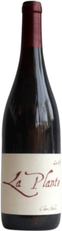 送料無料 | 赤ワイン Claire Naudin La Plante Rouge A.O.C. Bourgogne ブルゴーニュ フランス Pinot Black 75 cl