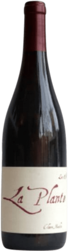 22,95 € | Rotwein Claire Naudin La Plante Rouge A.O.C. Bourgogne Burgund Frankreich Spätburgunder Ökologisch 75 cl