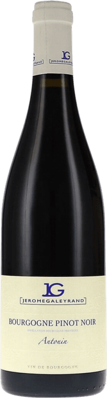 Free Shipping | Red wine Jérôme Galeyrand Antonin A.O.C. Bourgogne Burgundy France Pinot Black Organic 75 cl