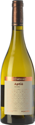 Agustí Torelló Aptià Macabeo Penedès 高齢者 75 cl