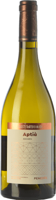 Agustí Torelló Aptià Macabeo — Макабео Penedès Crianza — Крианса 75 cl