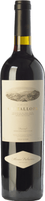 Álvaro Palacios Gratallops 高齢者 1,5 L