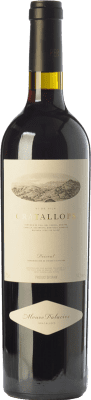 Álvaro Palacios Gratallops Priorat старения бутылка Магнум 1,5 L