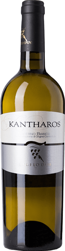 11,95 € | 白ワイン Angelo d'Uva Biferno Kantharos D.O.C. Molise モリーゼ イタリア Trebbiano 75 cl
