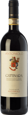 Antoniolo