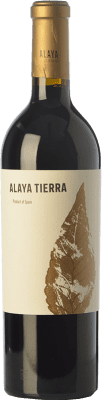Atalaya Alaya Tierra Grenache Tintorera Almansa старения 75 cl