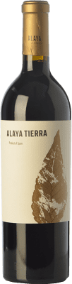 Atalaya Alaya Tierra Garnacha — Grenache Almansa Crianza 75 cl