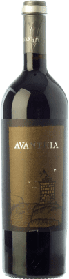 Avanthia Mencía Valdeorras Crianza — Invecchiato in Botte 75 cl