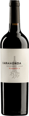 Barahonda Barrica Jovem