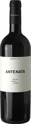 Bindella Antenata Merlot — Мерло Toscana 75 cl