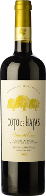 Bodegas Aragonesas Coto de Hayas 予約