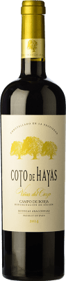 Bodegas Aragonesas Coto de Hayas Reserve — Aged