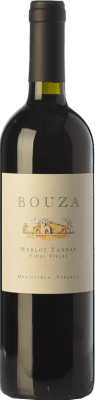 Bouza Tannat Viñas Viejas 年轻的