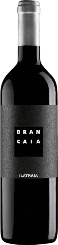 Бесплатная доставка | Красное вино Brancaia Ilatraia I.G.T. Toscana Тоскана Италия Cabernet Sauvignon — Каберне Совиньон, Cabernet Franc — Каберне Фран, Petit Verdot 75 cl