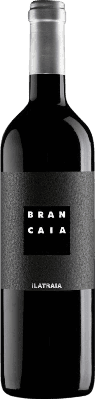 Kostenloser Versand | Rotwein Brancaia Ilatraia I.G.T. Toscana Toskana Italien Cabernet Sauvignon, Cabernet Franc, Petit Verdot 75 cl