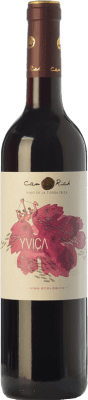Can Rich Yviça 年轻的