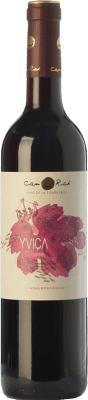 Can Rich Yviça Vi de la Terra de Ibiza Jovem 75 cl