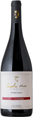 Carlos Moro Finca Valdehierro Crianza