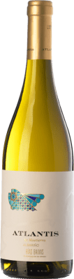 Castillo de Maetierra Atlantis Albariño Rías Baixas 75 cl