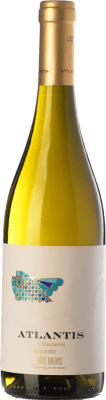 Castillo de Maetierra Atlantis Albariño — Albarinho Rías Baixas 75 cl
