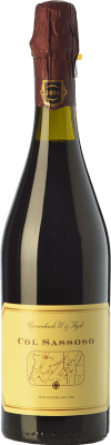 Cavicchioli Col Sassoso Lambrusco Lambrusco Grasparossa di Castelvetro 75 cl