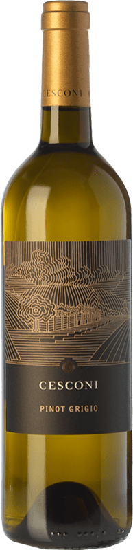17,95 € | Белое вино Cesconi Selezione Et. Vigneto I.G.T. Vigneti delle Dolomiti Трентино Италия Pinot Grey 75 cl
