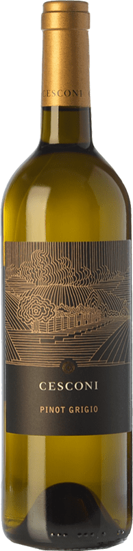 17,95 € Envio grátis | Vinho branco Cesconi Selezione Et. Vigneto I.G.T. Vigneti delle Dolomiti