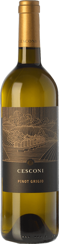 17,95 € | Vino blanco Cesconi Selezione Et. Vigneto I.G.T. Vigneti delle Dolomiti Trentino Italia Pinot Gris Ecológico 75 cl