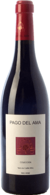 Cigarral Pago del Ama Vino de la Tierra de Castilla Colección — コレクション Crianza — クリアンサ 75 cl