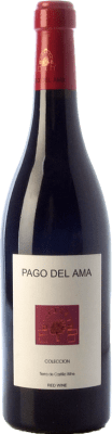 Cigarral Pago del Ama Colección Vino de la Tierra de Castilla Alterung 75 cl