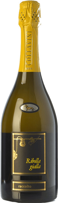 26,95 € | White sparkling Collavini Brut D.O.C. Colli Orientali del Friuli Friuli-Venezia Giulia Italy Ribolla Gialla Bottle 75 cl
