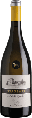 Collavini Turian Rhoditis Colli Orientali del Friuli 75 cl