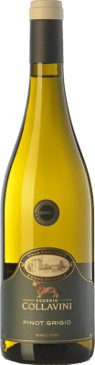 Collavini Pinot Grigio Villa Canlungo Pinot Grey Collio Goriziano-Collio 75 cl