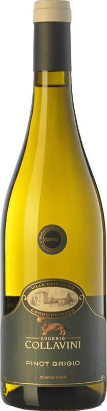 13,95 € | White wine Collavini Pinot Grigio Villa Canlungo D.O.C. Collio Goriziano-Collio Friuli-Venezia Giulia Italy Pinot Grey Bottle 75 cl